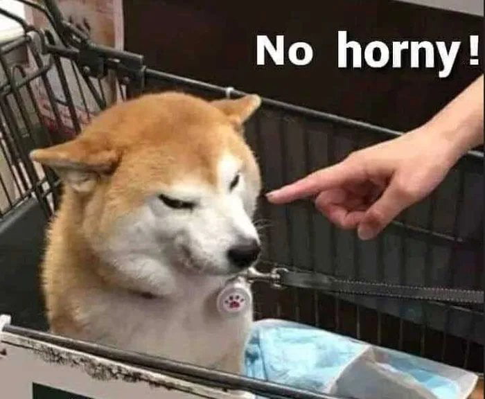 nohorny.jpg