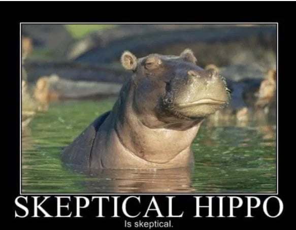 skeptical_hippo.jpg