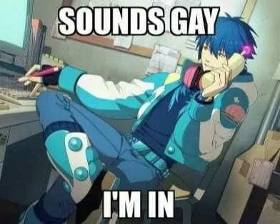 sounds_gay.jpg